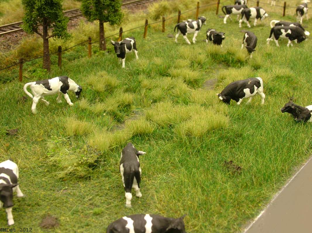 20120330 Rastede 029