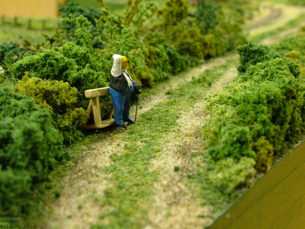 FREMO Kolding 2010 08